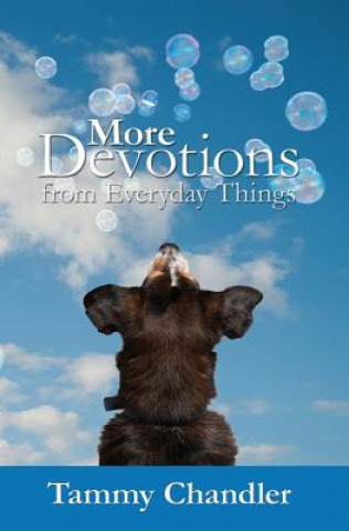 Carte More Devotions from Everyday Things Tammy Chandler