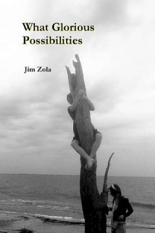 Книга What Glorious Possibilities Jim Zola