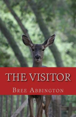 Книга The Visitor: Gifts in Strange Wrappings Bree Abbington