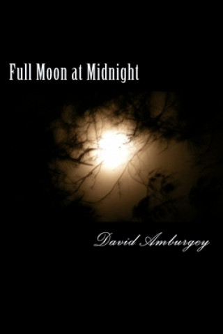 Kniha Full Moon at Midnight David Amburgey