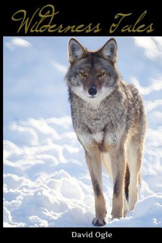 Knjiga Wilderness Tales David Ogle