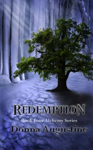 Βιβλίο Redemption Donna Augustine