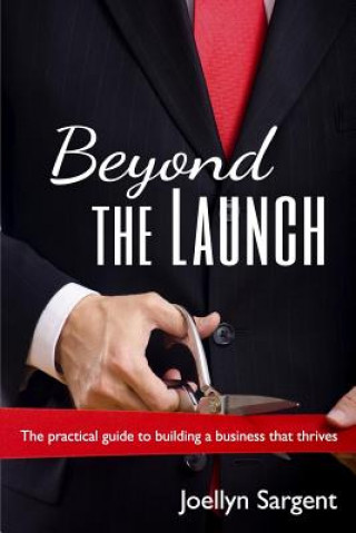 Kniha Beyond the Launch: The practical guide to building a business that thrives Joellyn Sargent