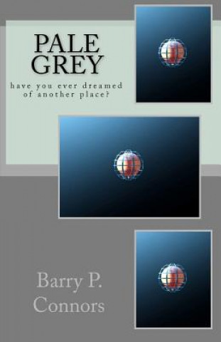 Knjiga Pale Grey MR Barry P Connors