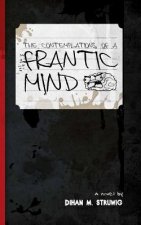 Könyv The contemplations of a frantic mind MR Dihan M Struwig