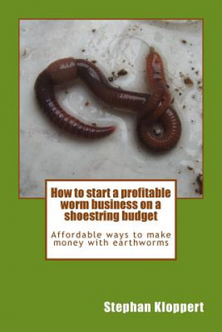 Kniha How to start a profitable worm business on a shoestring budget: Affordable ways to make money with earthworms MR Stephan Kloppert