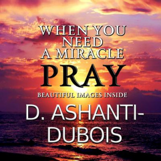 Buch When You Need A Miracle - Pray D Ashanti-DuBois