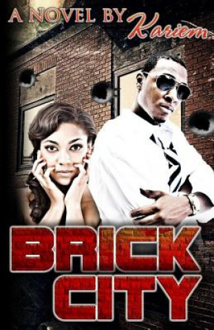 Buch Brick City Chyna Sallier
