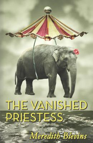 Kniha The Vanished Priestess Meredith Blevins