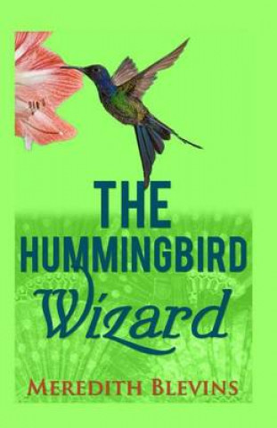 Buch The Hummingbird Wizard Meredith Blevins