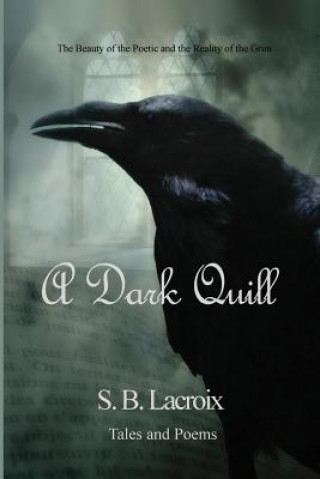 Buch A Dark Quill: Tales & Poems S B LaCroix