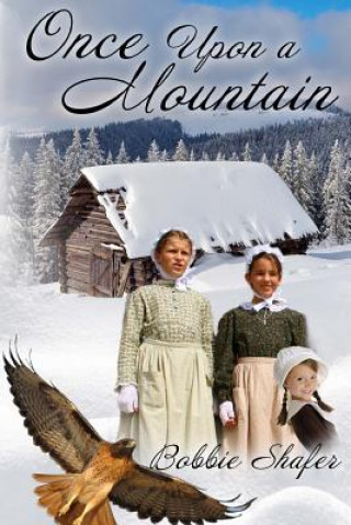 Knjiga Once Upon A Mountain Bobbie Shafer