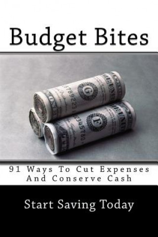 Kniha Budget Bites: 91 Ways To Cut Expenses And Conserve Cash MR Matthew L Johnson Ma