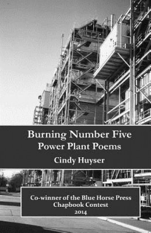 Kniha Burning Number Five Cindy Huyser