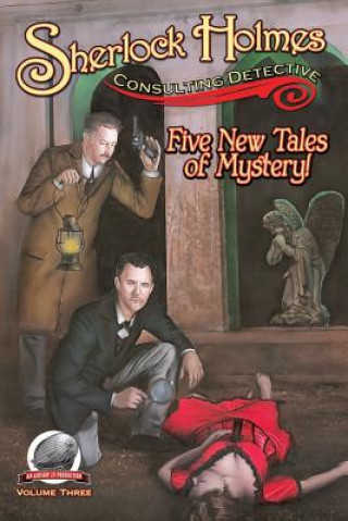 Buch Sherlock Holmes: Consulting Detective Volume 3 I a Watson