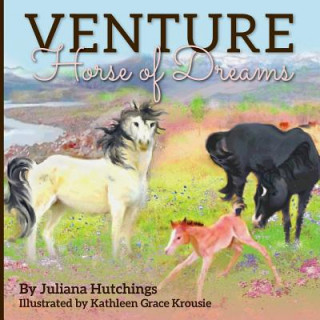 Kniha Venture, Horse of Dreams Juliana Hutchings