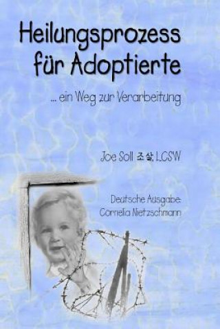 Kniha Heilungsprozess für Adoptierte: Ein Weg zur Verarbeitung Lcsw Joe Soll