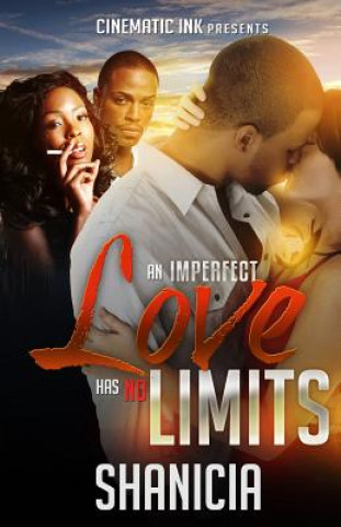 Buch An Imperfect Love Has No Limits Shanicia