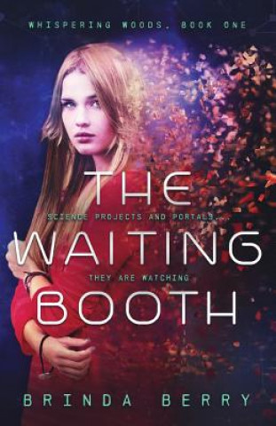 Kniha The Waiting Booth Brinda Berry