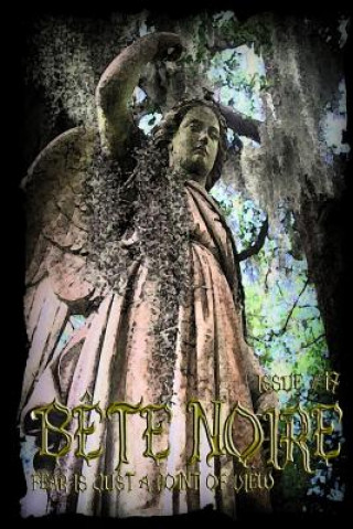 Carte Bete Noire Issue #17 Various Authors