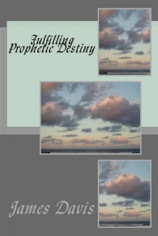 Libro Fulfilling Prophetic Destiny James Davis