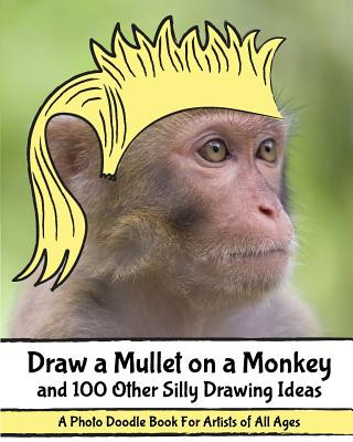 Kniha Draw a Mullet on a Monkey and 100 Other Silly Drawing Ideas: A Photo Doodle Book For Artists of All Ages H R Wallace Publishing
