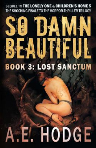 Kniha So Damn Beautiful: Lost Sanctum A E Hodge