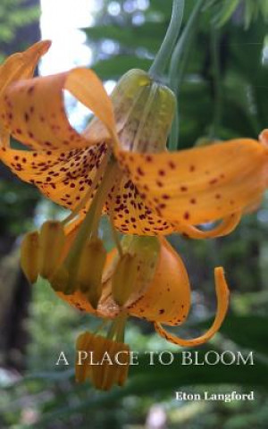 Boek A Place to Bloom Eton Langford