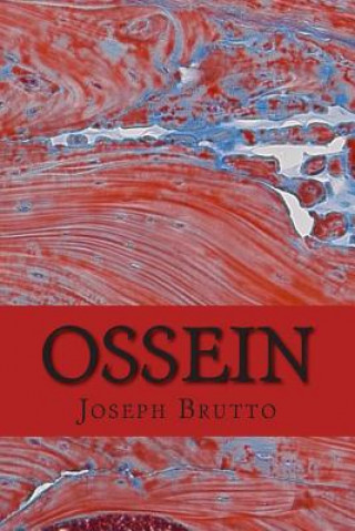 Knjiga Ossein Joseph Dorsey Brutto