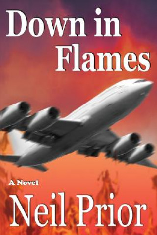 Книга Down in Flames Neil Prior