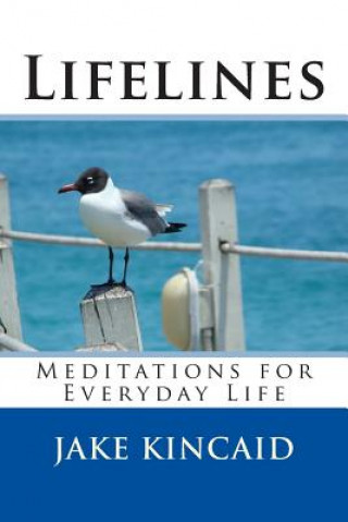 Kniha Lifelines: Meditations for Everyday Life Jake Kincaid