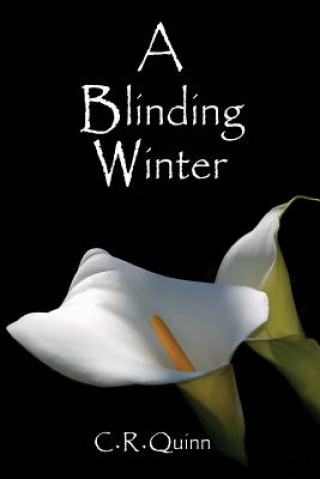 Könyv A Blinding Winter C R Quinn