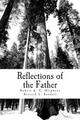 Книга Reflections of the Father Derrick L Randall