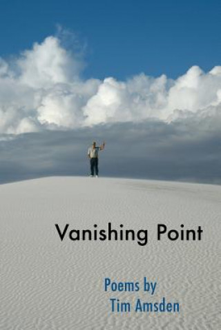 Knjiga Vanishing Point Tim Amsden