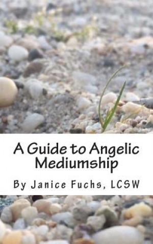 Kniha A Guide to Angelic Mediumship Janice Fuchs