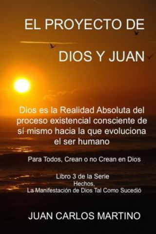 Livre El Proyecto de Dios y Juan: Dios es la realidad absoluta del proceso existencial consciente de si mismo hacia la que evoluciona el ser humano Juan Carlos Martino