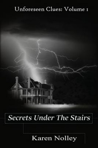 Kniha Secrets Under The Stairs Karen Nolley