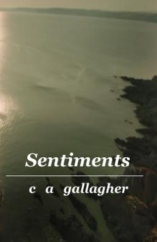 Könyv Sentiments C a Gallagher