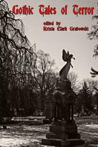 Kniha Gothic Tales of Terror Krista Grabowski