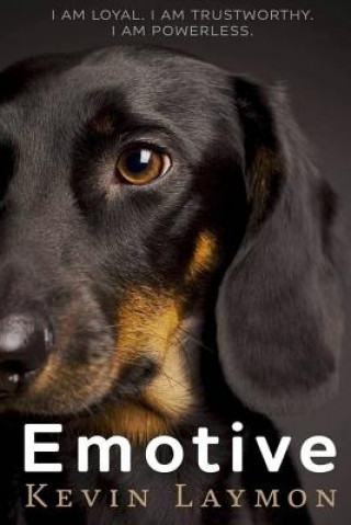 Buch Emotive Kevin Laymon