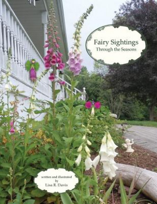 Kniha Fairy Sightings Through the Seasons Lisa R Davis