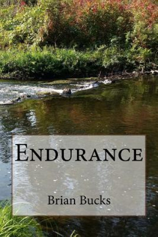 Knjiga Endurance Brian L Bucks