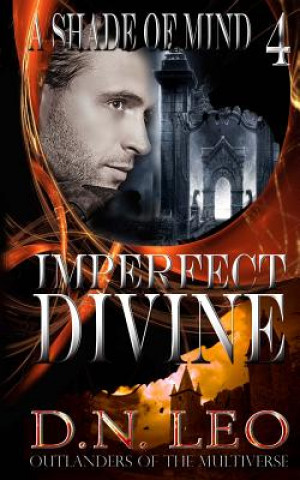 Livre Imperfect Divine D N Leo