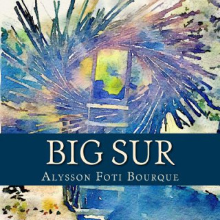 Kniha Big Sur Alysson Foti Bourque