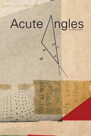 Kniha Acute Angles Zach Collins