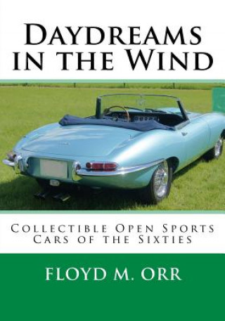 Buch Daydreams in the Wind: Collectible Open Sports Cars of the Sixties Floyd M Orr