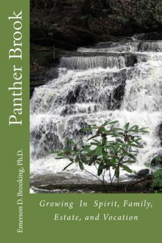 Livre Panther Brook: Growing In Spirit, Family, Estate, and Vocation Ph D Emerson Dean Brooking