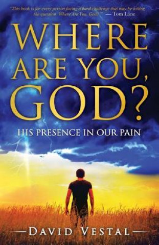 Book Where Are You, God?: His Presence in Our Pain David Vestal