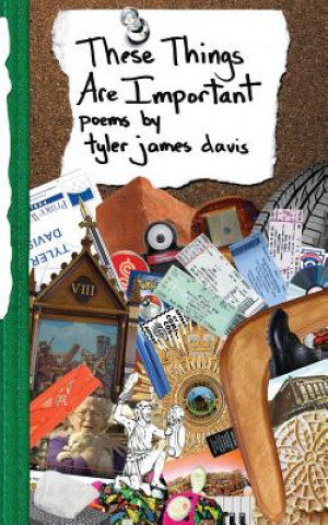 Buch These Things Are Important Tyler James Davis