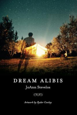 Kniha Dream Alibis Joann Elizabeth Stevelos